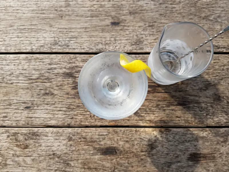Dry Martini — shot from directly overhead: gin and dry vermouth stirred down cold and served straight up